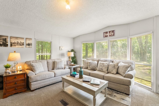 424 Center Rdg, Drasco, AR 72543 - carpeted living room featuring vaulted ceiling and a textured ceiling