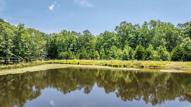 424 Center Rdg, Drasco, AR 72543 - water view with a forest