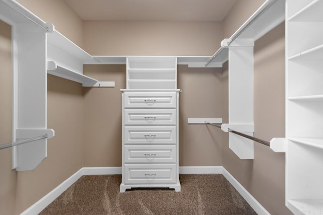 9 Bishop Pl, Little Rock, AR 72223 - walk in closet featuring carpet floors