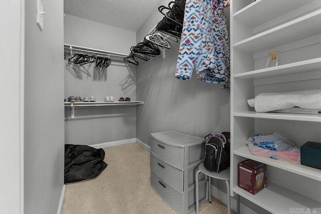31 Auburn Hills Dr, Greenbrier, AR 72058 - spacious closet with carpet flooring