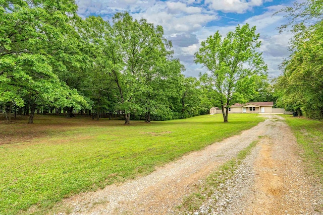 view of grassy yard featuring dirt driveway