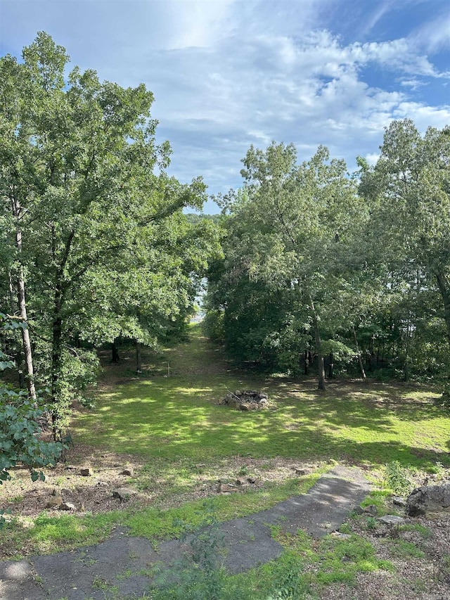 900 Davidson Cir, Edgemont, AR 72044 - view of grassy yard