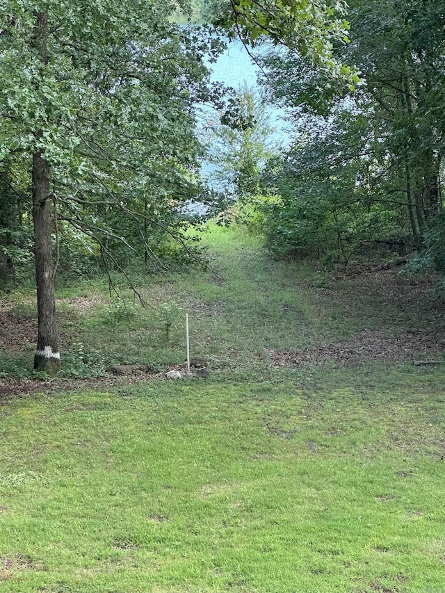 900 Davidson Cir, Edgemont, AR 72044 - view of grassy yard