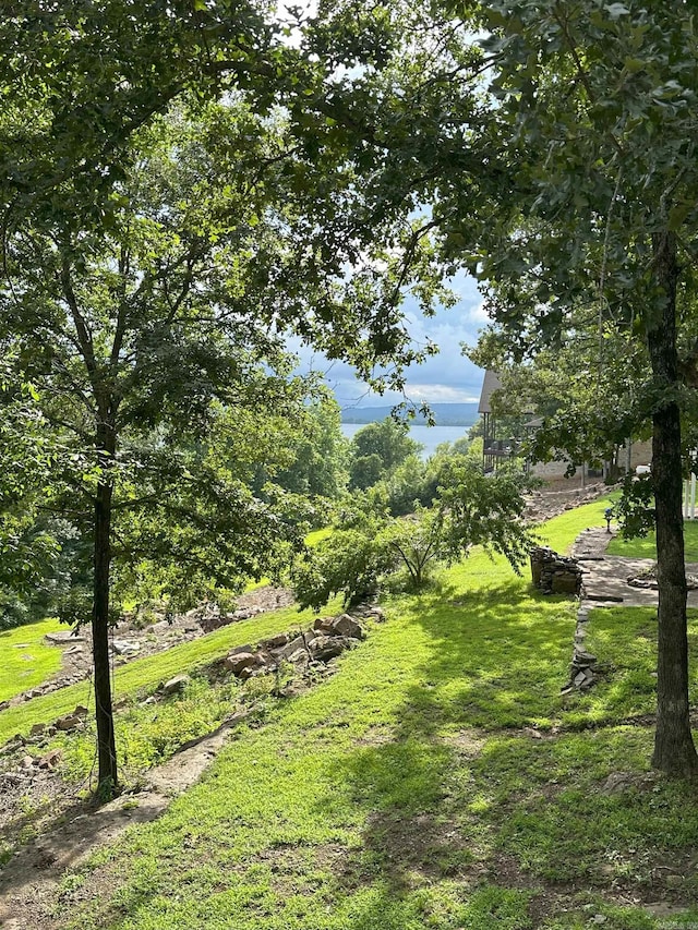 900 Davidson Cir, Edgemont, AR 72044 - view of grassy yard