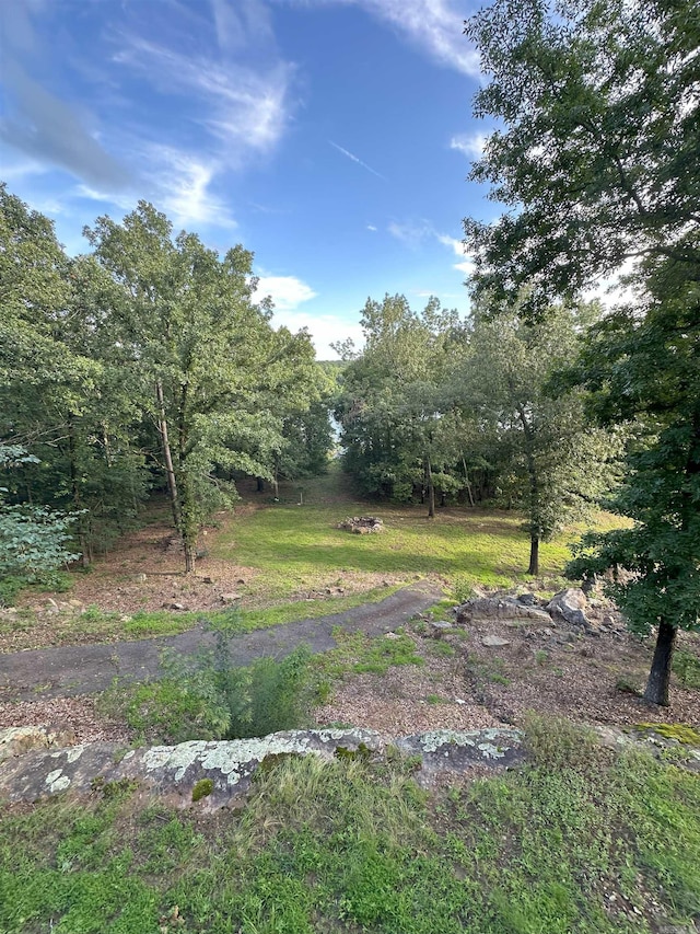 900 Davidson Cir, Edgemont, AR 72044 - view of yard