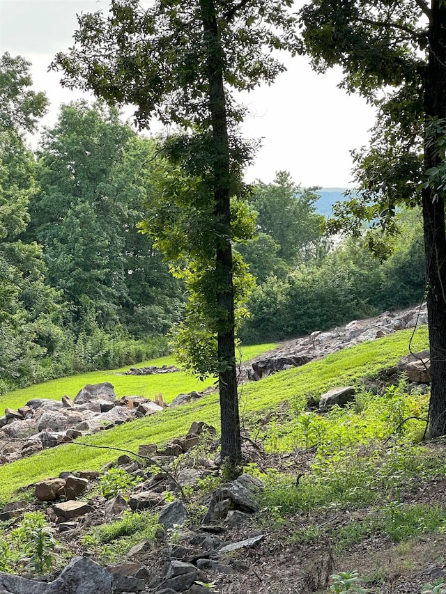 900 Davidson Cir, Edgemont, AR 72044 - view of tree filled area