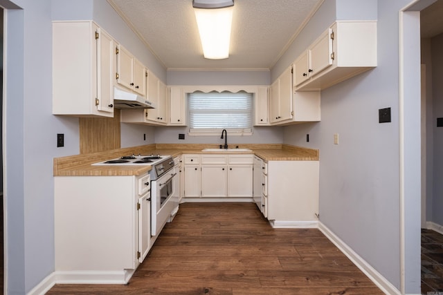 1905 Broken Bow, North Little Rock, AR 72116 - kitchen with white range with electric cooktop, under cabinet range hood, white cabinetry, light countertops, and dark wood finished floors