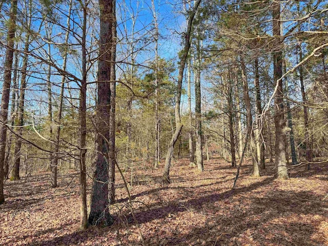 181 Old Springfield Rd, Quitman, AR 72131