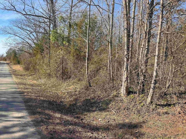 181 Old Springfield Rd, Quitman, AR 72131