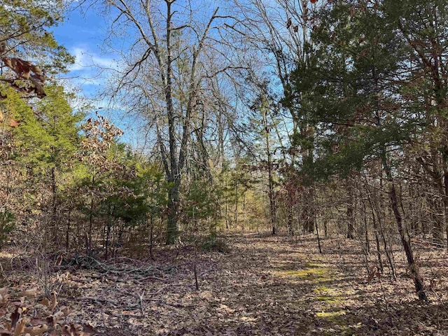 181 Old Springfield Rd, Quitman, AR 72131