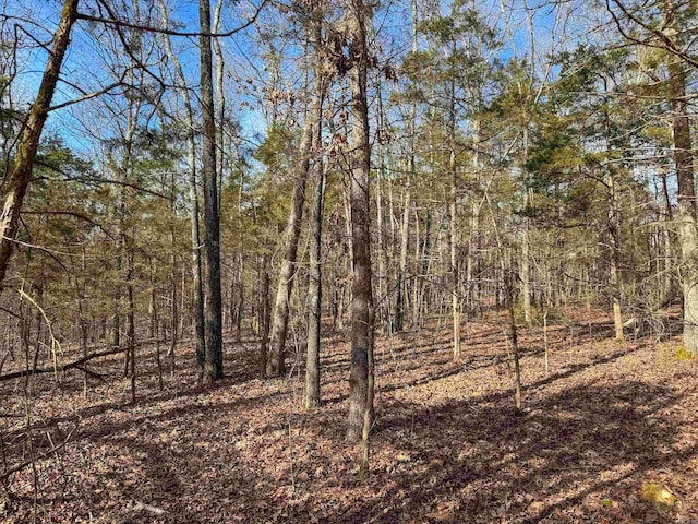 181 Old Springfield Rd, Quitman, AR 72131