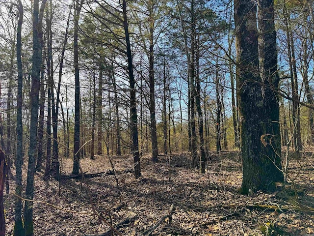 181 Old Springfield Rd, Quitman, AR 72131