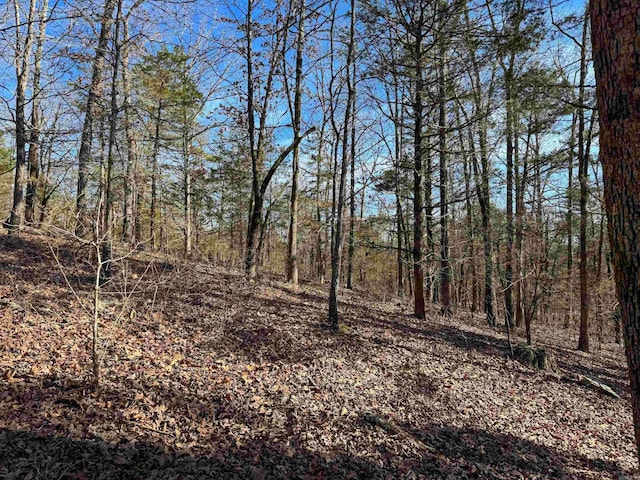 181 Old Springfield Rd, Quitman, AR 72131