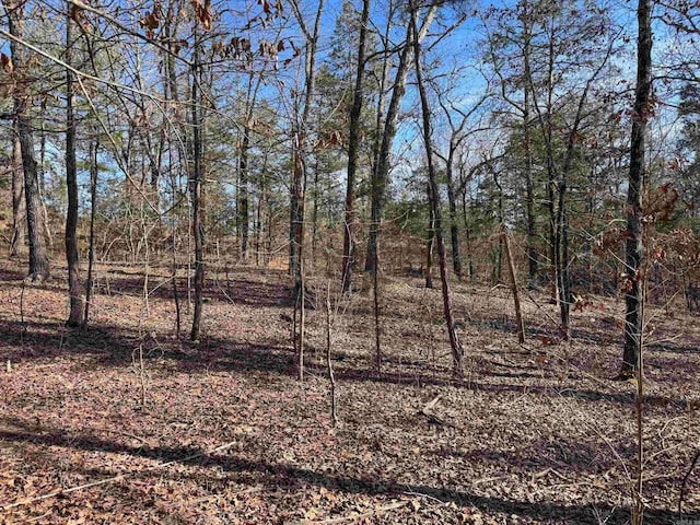 181 Old Springfield Rd, Quitman, AR 72131