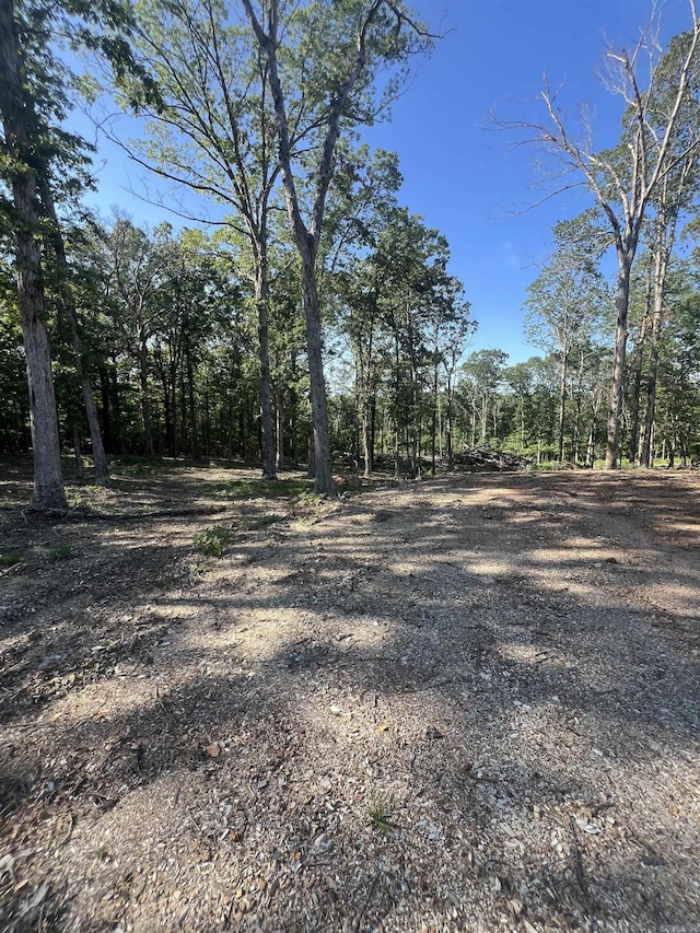 4802 Reed Ln, Alexander, AR 72002
