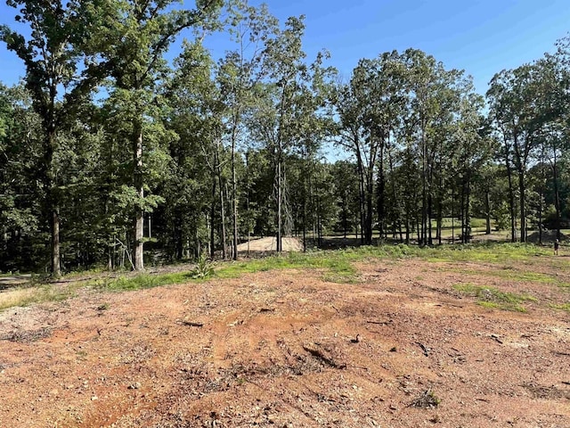 4802 Reed Ln, Alexander, AR 72002