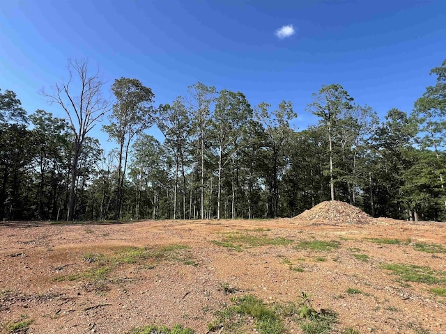 4802 Reed Ln, Alexander, AR 72002