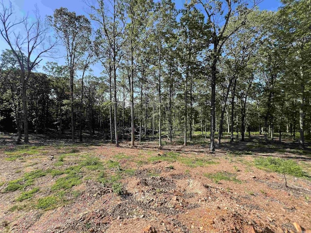 4802 Reed Ln, Alexander, AR 72002