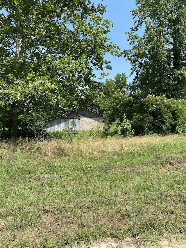 2767 E Main St, Lamar, AR 72846 - view of yard