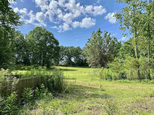 2767 E Main St, Lamar, AR 72846 - view of undeveloped land