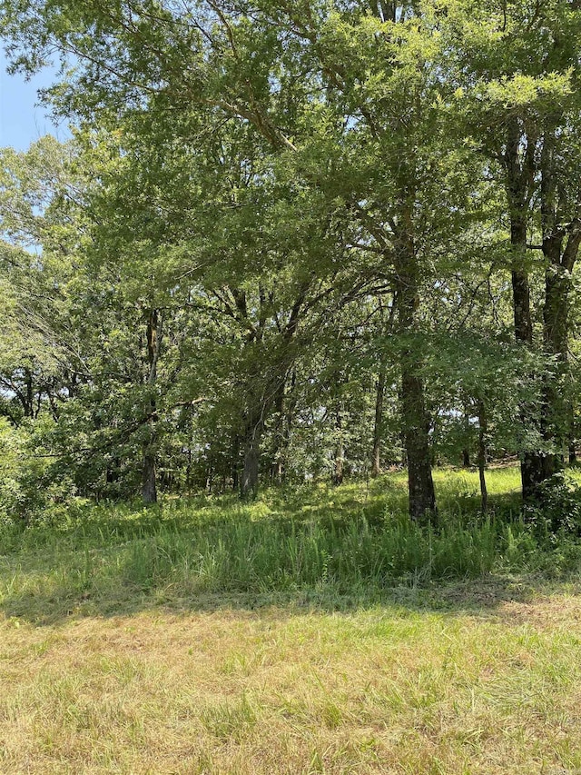 2767 E Main St, Lamar, AR 72846 - view of local wilderness
