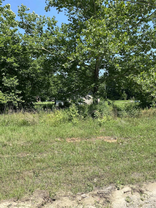 2767 E Main St, Lamar, AR 72846 - view of local wilderness