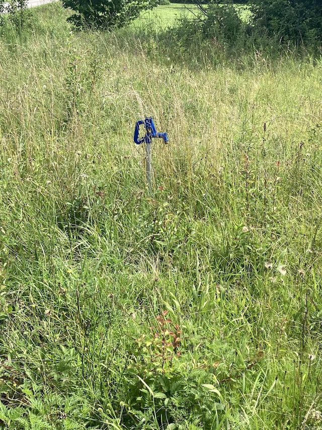 122 Ruby Rd, Ward, AR 72176