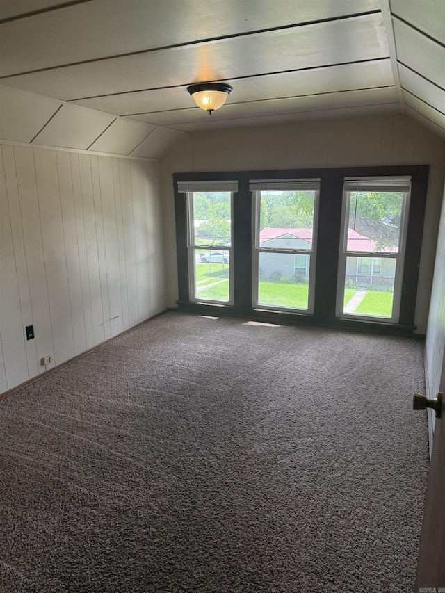 408 Case St, Heber Springs, AR 72543 - unfurnished room featuring lofted ceiling, healthy amount of natural light, carpet flooring, and wood walls