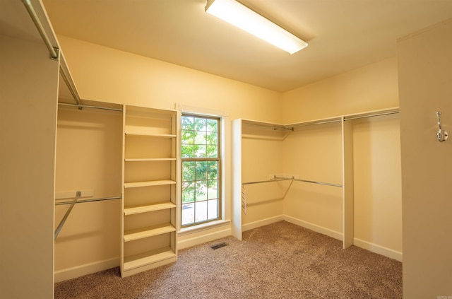 22 Jacob Pl, Little Rock, AR 72211 - walk in closet with carpet floors