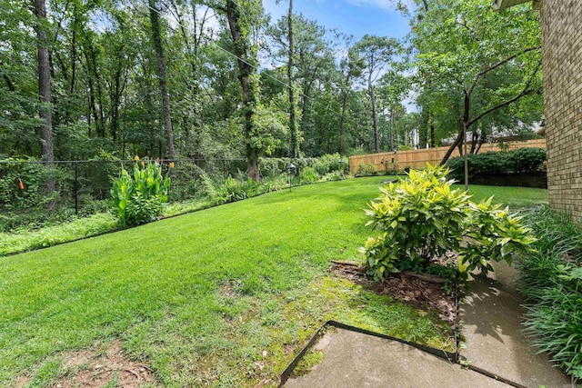 2608 Grist Mill Rd, Little Rock, AR 72227 - view of yard