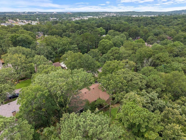 2608 Grist Mill Rd, Little Rock, AR 72227 - bird's eye view of a forest