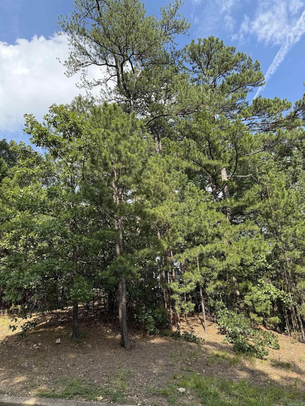 LOT7 Beckenham Cv, Little Rock, AR 72212