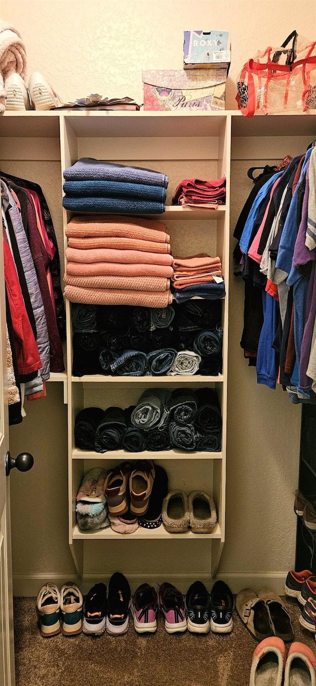 795 S Hill Dr, Jonesboro, AR 72401 - view of closet