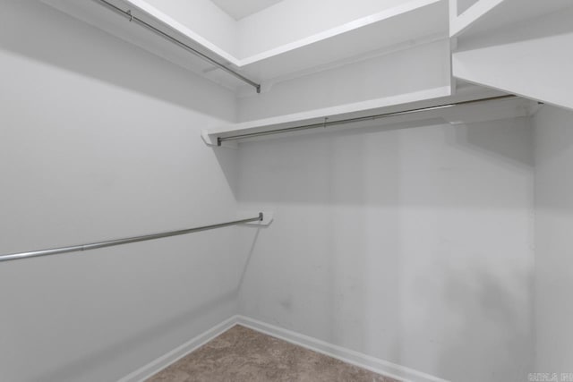 1226 Grayson Cir, Malvern, AR 72104 - walk in closet featuring carpet
