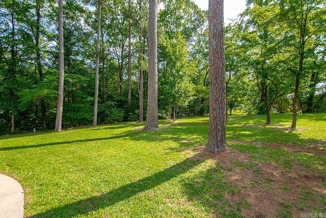 1226 Grayson Cir, Malvern, AR 72104 - view of grassy yard