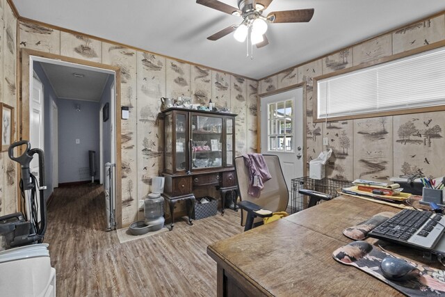 309 N Seaman St, Mccrory, AR 72101 - office featuring wood finished floors, a ceiling fan, and crown molding