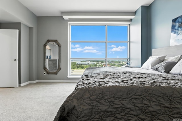 521 President Clinton Ave Unit 1101, Little Rock, AR 72201 - bedroom featuring carpet floors and baseboards