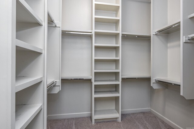 2300 Gordon Rd, Little Rock, AR 72223 - spacious closet with carpet