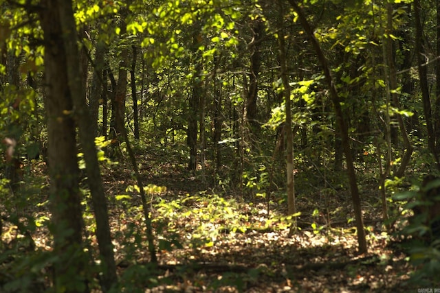 1505 Blackbird Ln, Horseshoe Bend, AR 72512