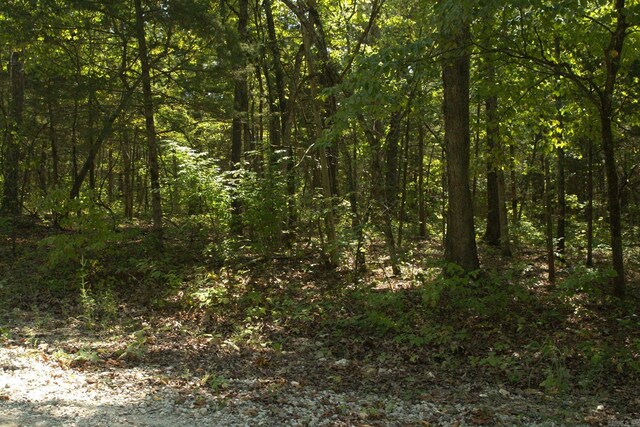 1505 Blackbird Ln, Horseshoe Bend, AR 72512