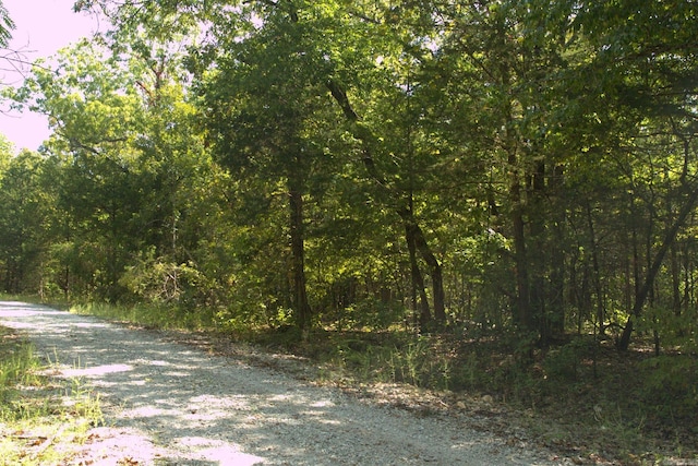 1505 Blackbird Ln, Horseshoe Bend, AR 72512