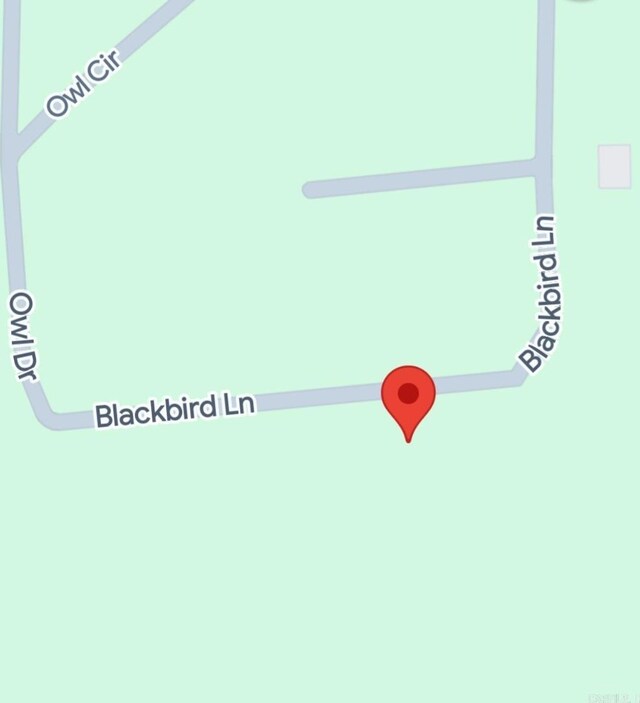 1505 Blackbird Ln, Horseshoe Bend, AR 72512