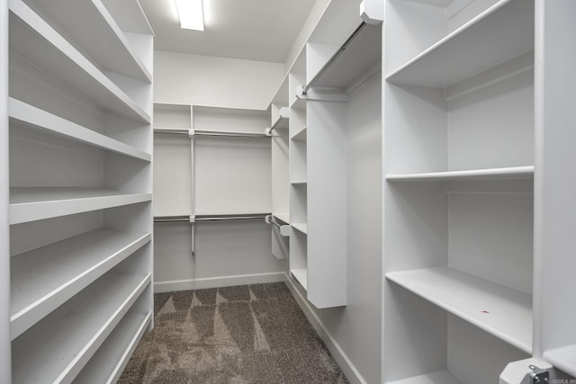 21 Ensbury Pl, Little Rock, AR 72223 - walk in closet featuring dark carpet