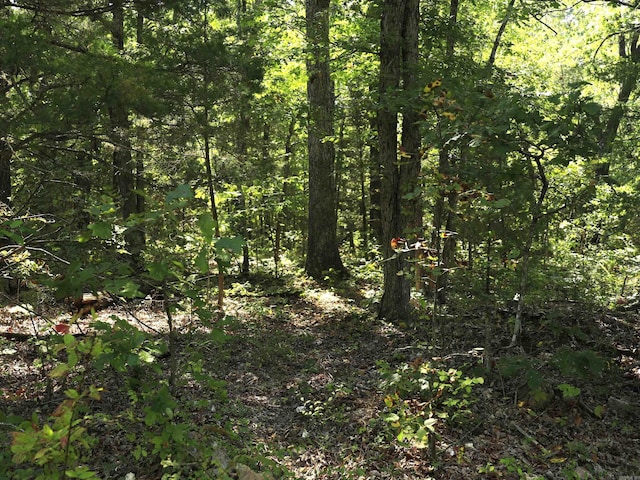 602 Catbird Cir, Horseshoe Bend, AR 72512