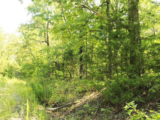 602 Catbird Cir, Horseshoe Bend, AR 72512