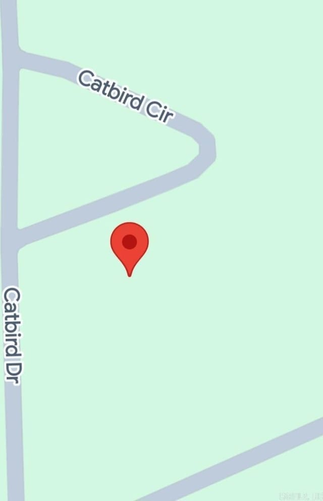 602 Catbird Cir, Horseshoe Bend, AR 72512
