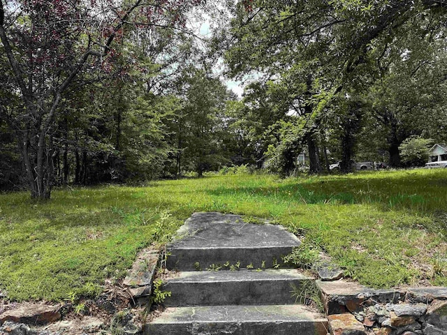 1904 S Martin St, Little Rock, AR 72204