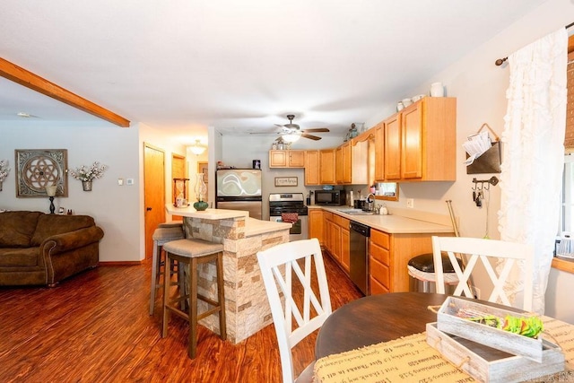 2838 Mountain View Rd, Drasco, AR 72530 - kitchen with appliances with stainless steel finishes, dark wood-style flooring, light countertops, and ceiling fan