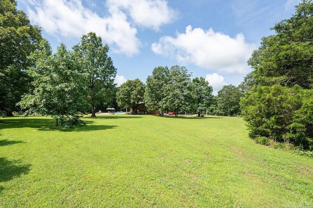 2838 Mountain View Rd, Drasco, AR 72530 - view of green lawn