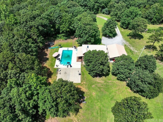 2838 Mountain View Rd, Drasco, AR 72530 - bird's eye view of a pool area